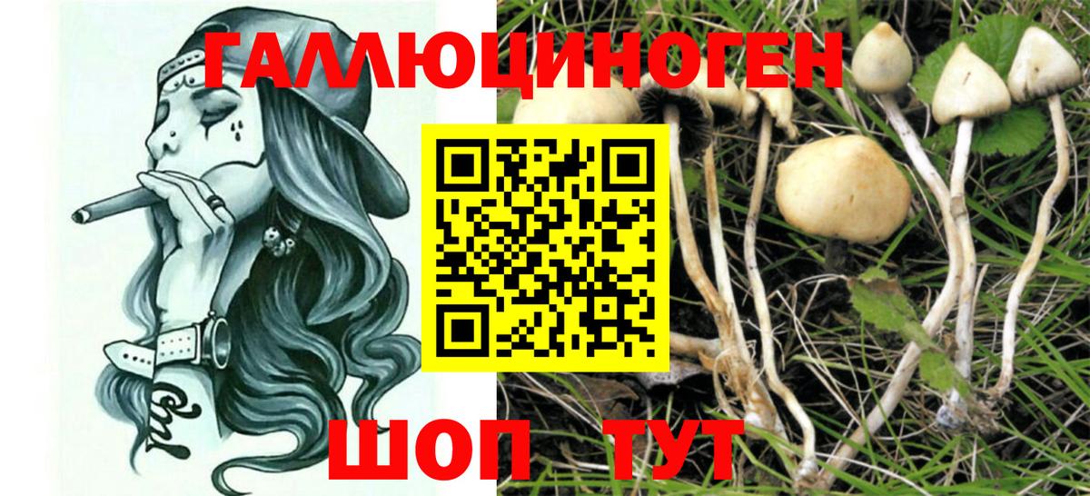 Казань  Псилоцибиновые грибы Magic Shrooms  даркнет сайт  Вход с VPN 